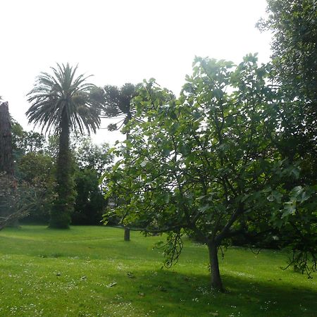 Las Carolinas Garden Сантандер Экстерьер фото