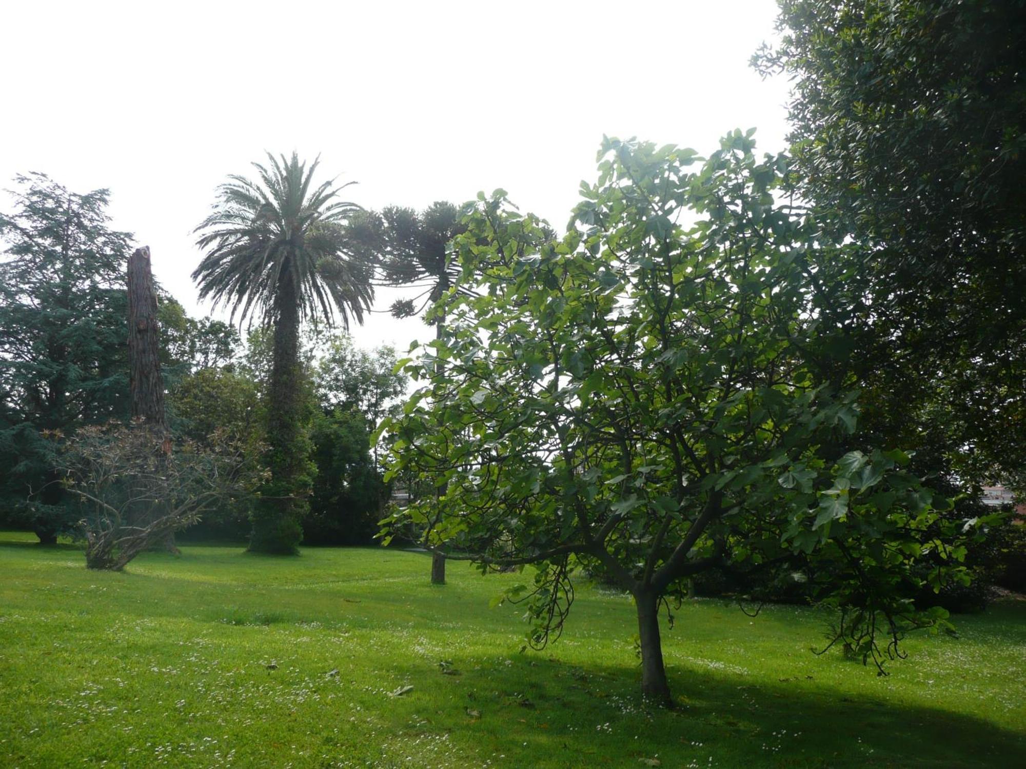 Las Carolinas Garden Сантандер Экстерьер фото